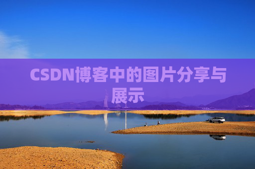 CSDN博客中的图片分享与展示